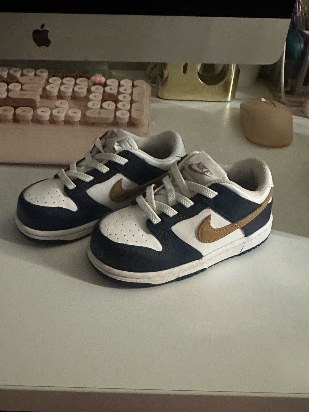 Nike Dunk Low Toddler Sneakers – Size 8C